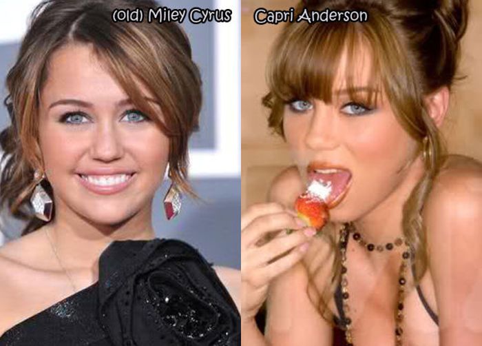 Female Celebrities And Their Pornstar Doppelgangers Part 2 28 Pics 