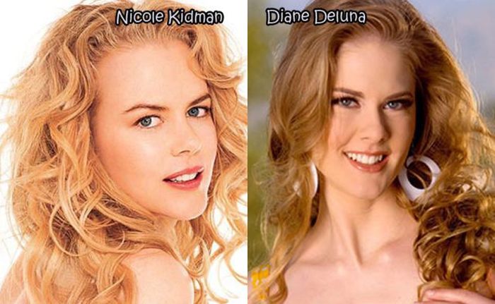 Female Celebrities And Their Pornstar Doppelgangers. Part 2 (28 pics)