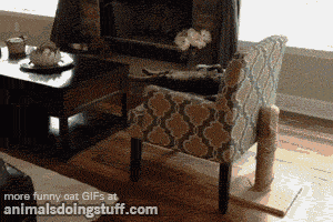Did It Ever Happen to You When... Part 58 (16 gifs)