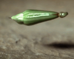 GIFs for Those of You Who Likes Science (33 pics)
