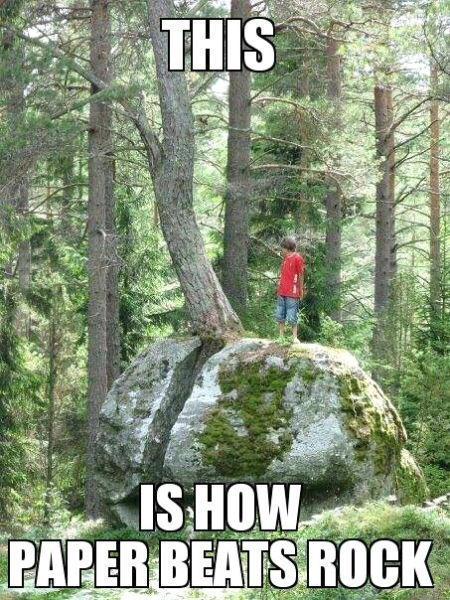 Acid Picdump (133 pics)