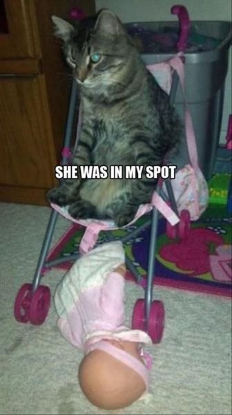 Acid Picdump (133 pics)