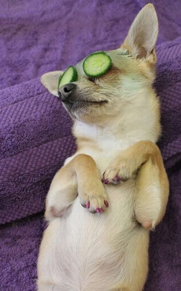 Acid Picdump (133 pics)