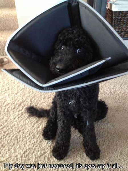 Acid Picdump (133 pics)