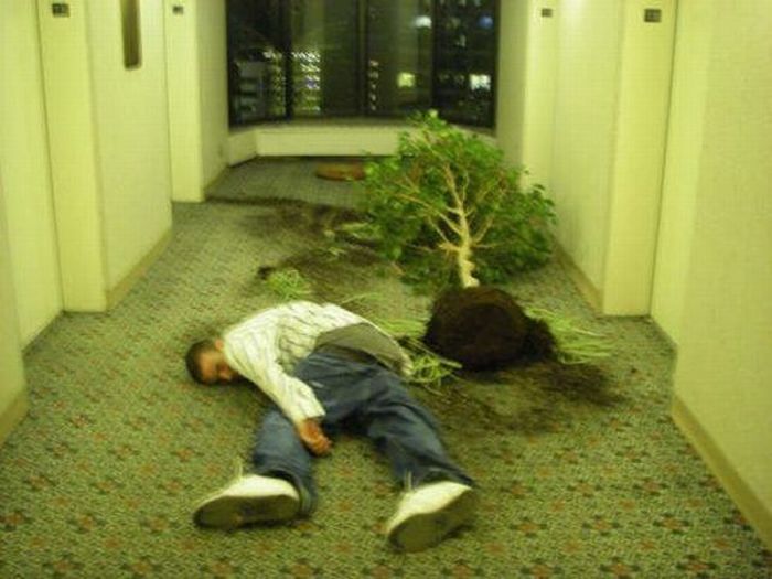 Acid Picdump (133 pics)