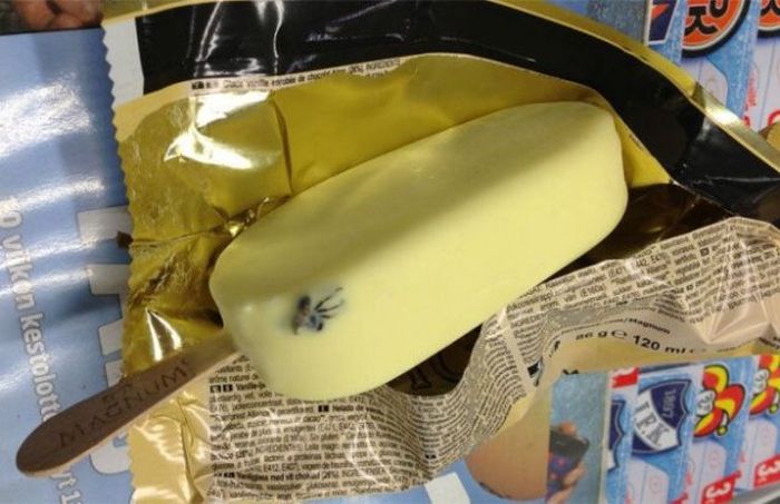 Acid Picdump (133 pics)