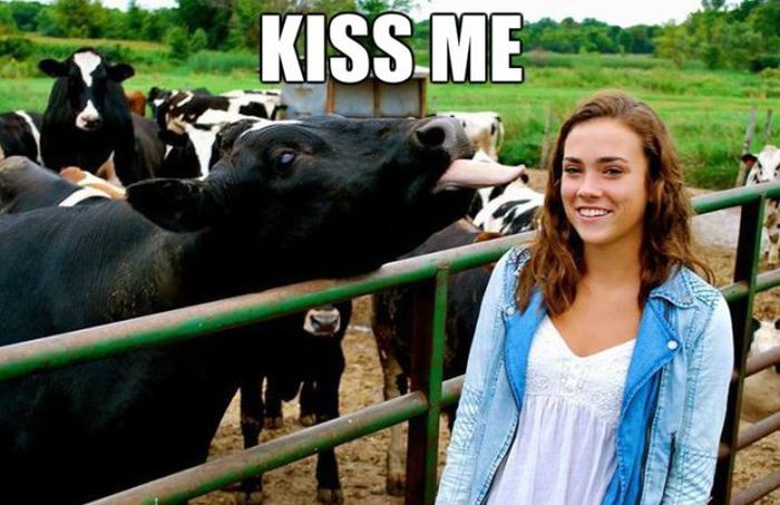 Acid Picdump (133 pics)