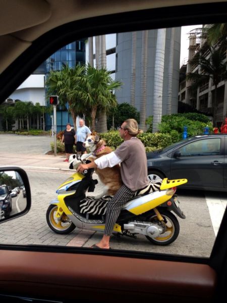 Acid Picdump (133 pics)