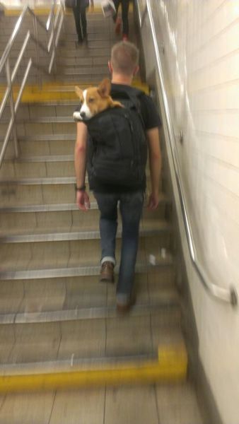 Acid Picdump (133 pics)