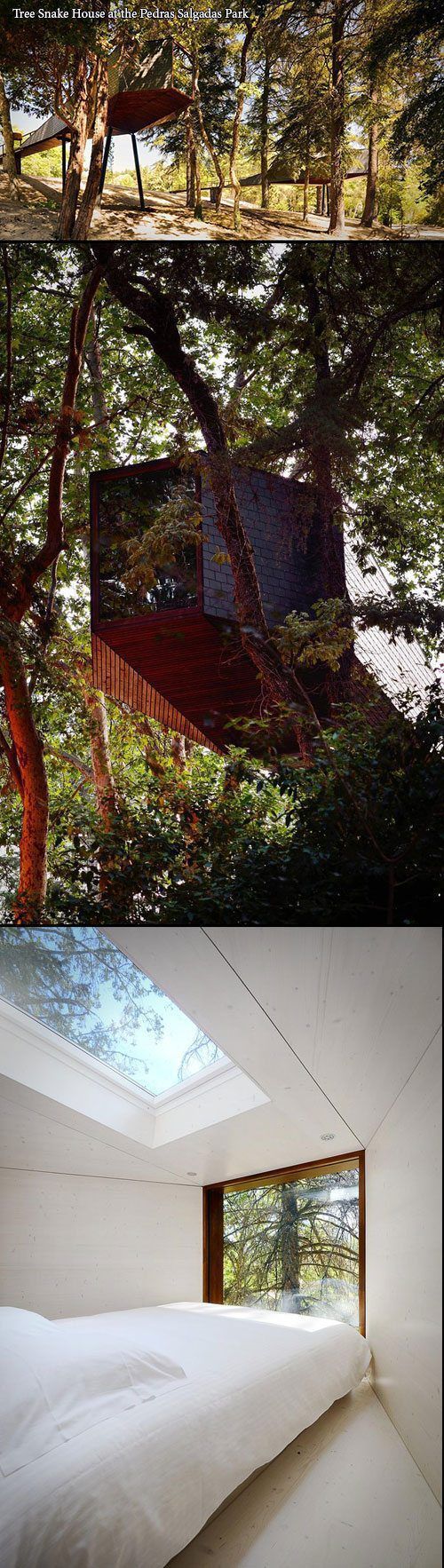 Acid Picdump (133 pics)