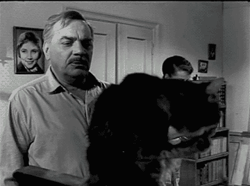 Acid Gifdump, October 04, 2013 (25 gifs)