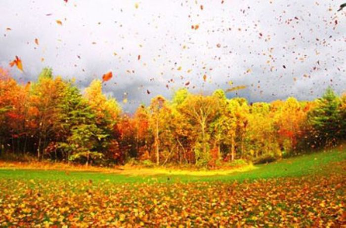Beautiful Fall (37 pics)