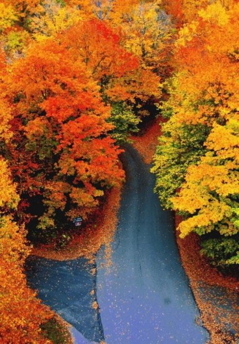 Beautiful Fall (37 pics)