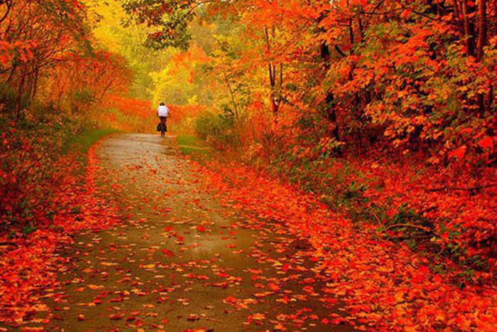 Beautiful Fall (37 pics)