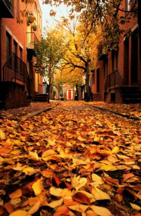 Beautiful Fall (37 pics)