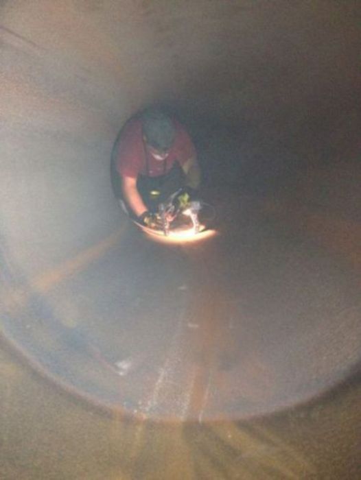 People Who Have Worse Jobs Than You (47 pics)