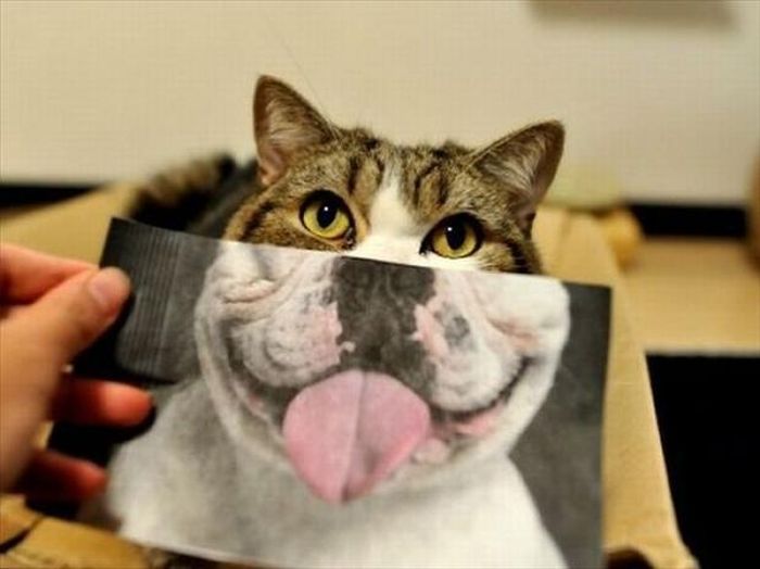 Acid Picdump (175 pics)