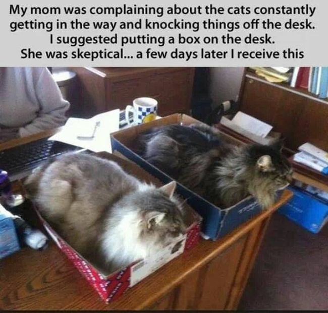 Acid Picdump (107 pics)
