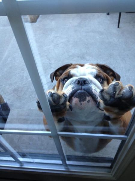 Acid Picdump (107 pics)