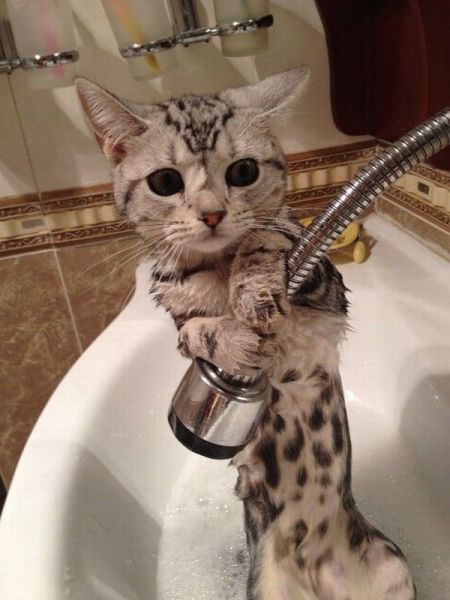 Acid Picdump (107 pics)