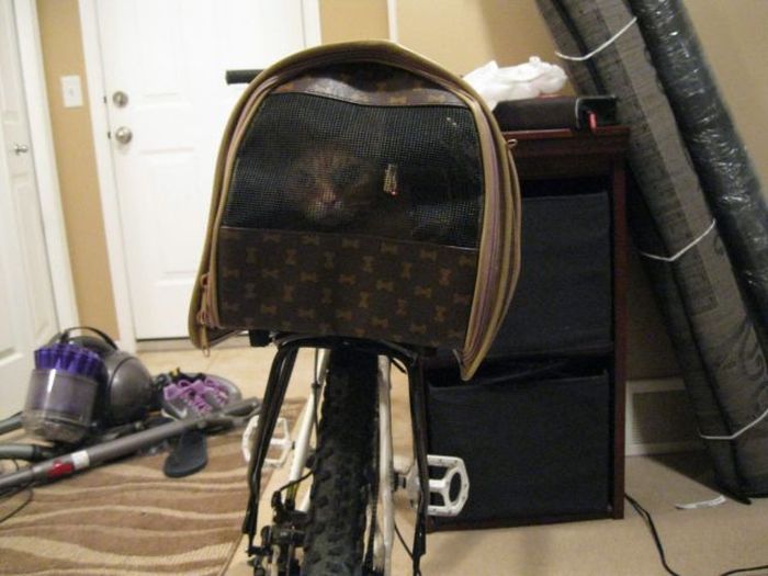 Acid Picdump (107 pics)