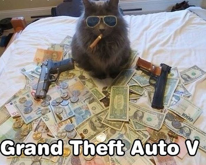 Acid Picdump (107 pics)