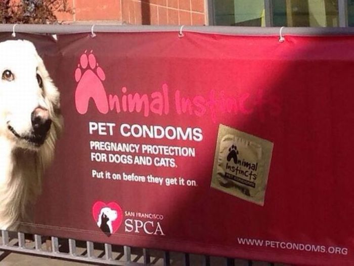 Acid Picdump (107 pics)
