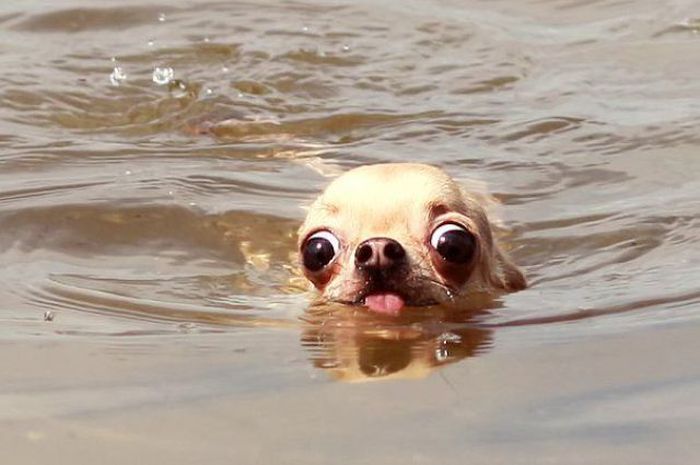Acid Picdump (107 pics)