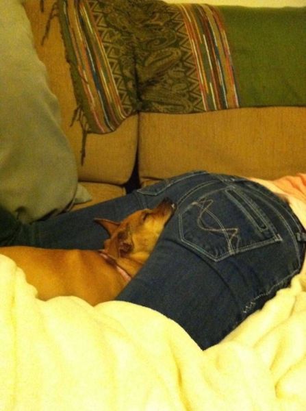 Acid Picdump (107 pics)