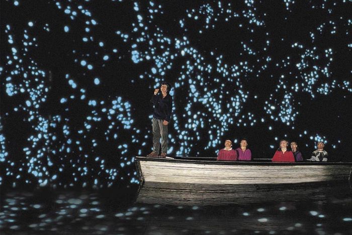 Starry Night Sky Created by Glowworms (11 pics)