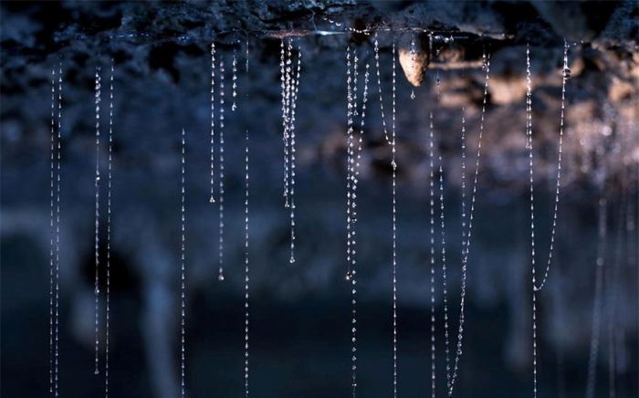 Starry Night Sky Created by Glowworms (11 pics)