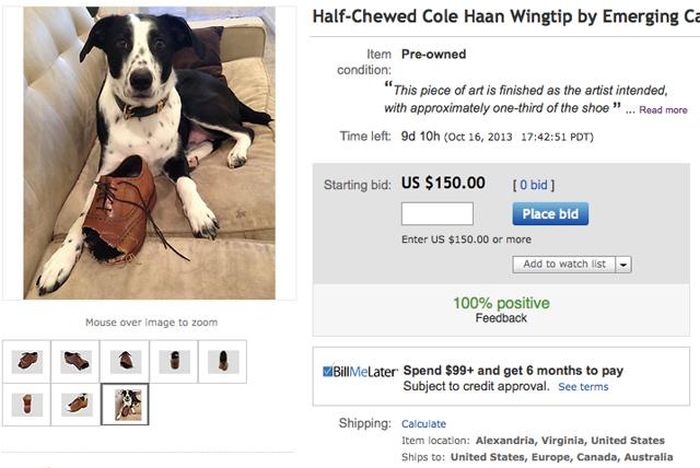 How to Sell Shoes Chewed by Dog (7 pics)