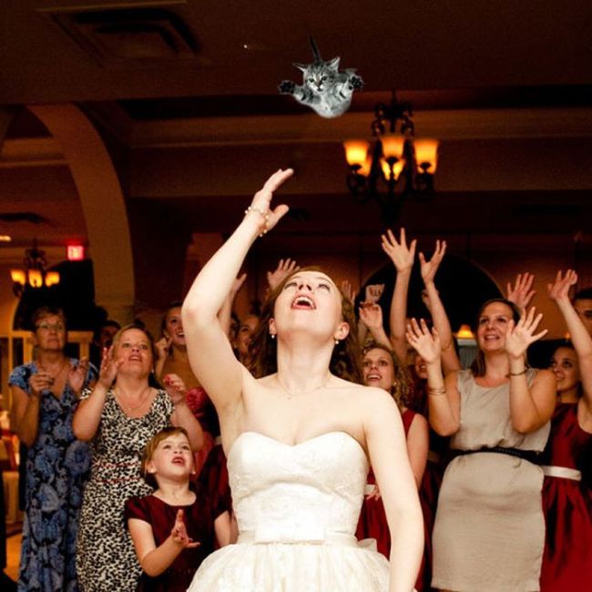 Brides Throwing Cats (17 pics)