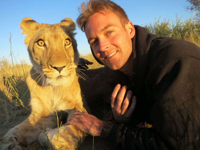 Living with Lions (37 pics)