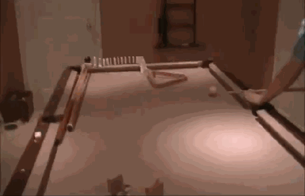 We Didn't Expect This (33 gifs)