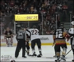 We Didn't Expect This (33 gifs)