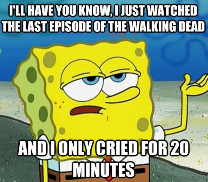 Walking Dead Memes (43 pics)