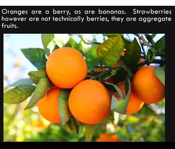 Interesting Facts. Part 7 (27 pics)