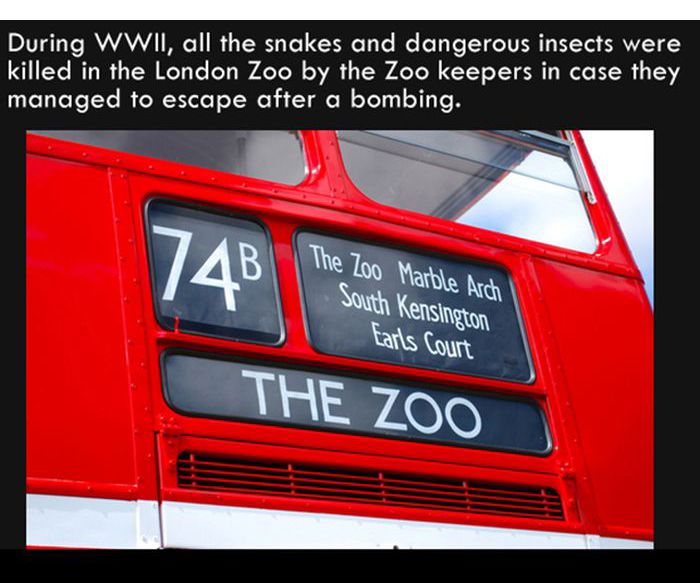 Interesting Facts. Part 7 (27 pics)