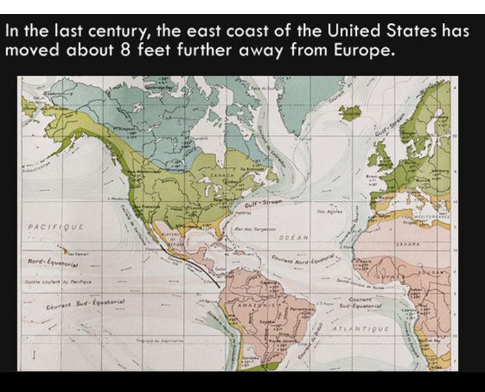 Interesting Facts. Part 7 (27 pics)