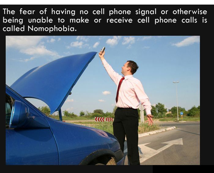 Interesting Facts. Part 7 (27 pics)