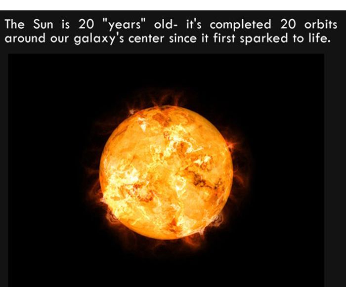 Interesting Facts. Part 7 (27 pics)