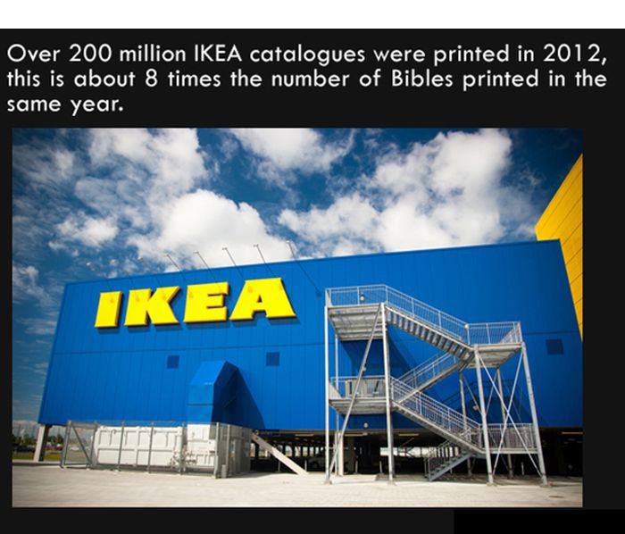 Interesting Facts. Part 7 (27 pics)