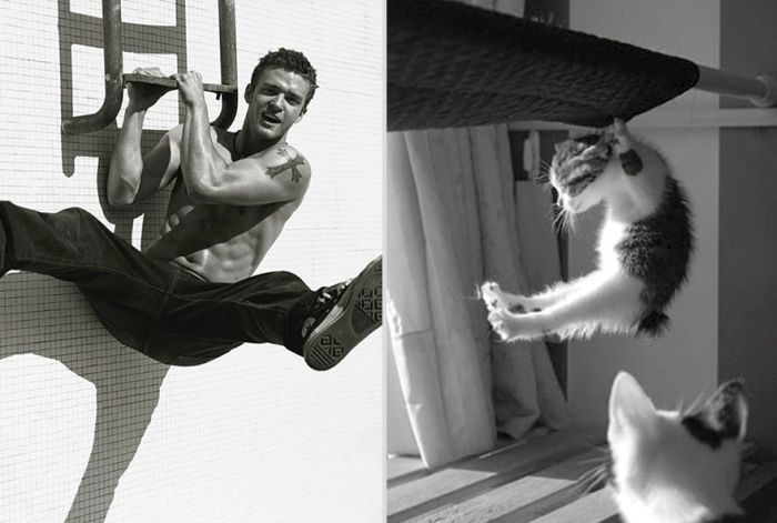 Hot Men And Their Feline Counterparts. Part 2 (26 pics)