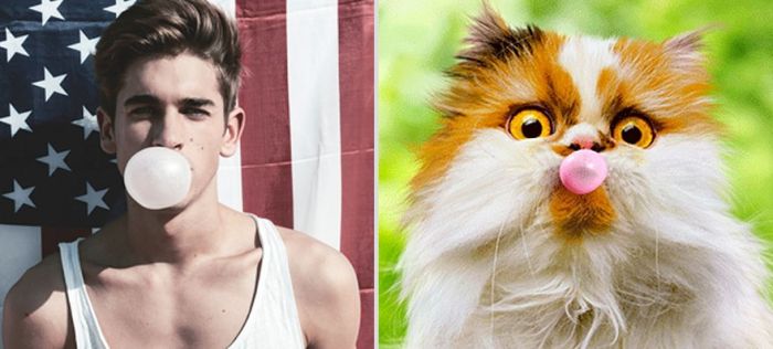 Hot Men And Their Feline Counterparts. Part 2 (26 pics)