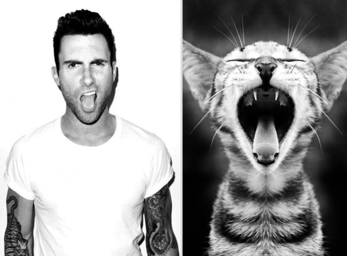 Hot Men And Their Feline Counterparts. Part 2 (26 pics)
