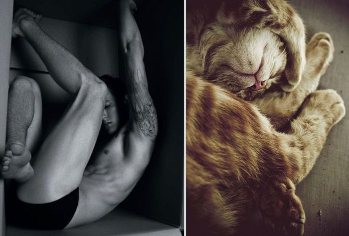 Hot Men And Their Feline Counterparts. Part 2 (26 pics)