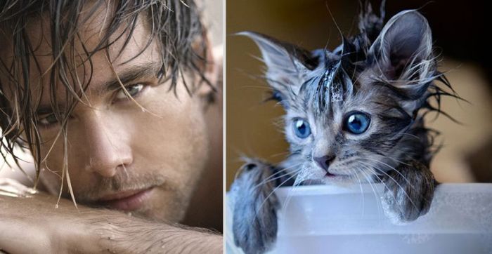 Hot Men And Their Feline Counterparts. Part 2 (26 pics)