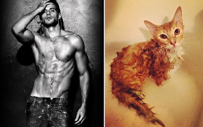 Hot Men And Their Feline Counterparts. Part 2 (26 pics)