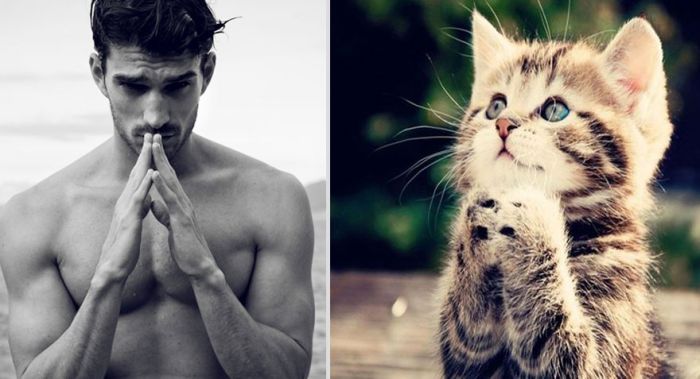 Hot Men And Their Feline Counterparts. Part 2 (26 pics)